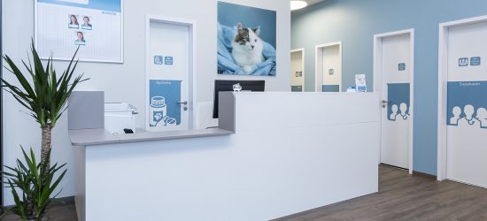 Activet Tierarztpraxis Hannover Empfang